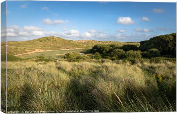 Braunton Burrows sand dunes Canvas Print by Daryl Peter Hutchinson