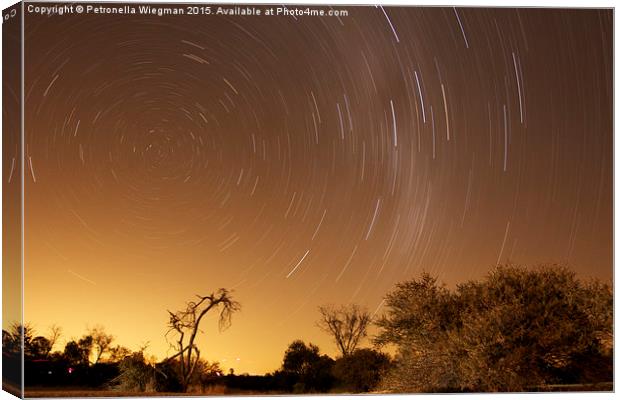  African star trails Canvas Print by Petronella Wiegman