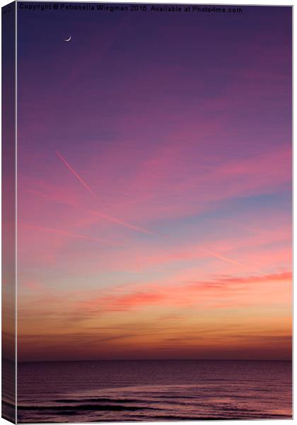  Sunset Canvas Print by Petronella Wiegman