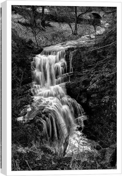  Yorkshire Foss Canvas Print by David Portwain