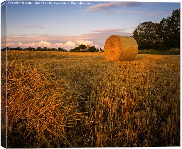 Rolling Hay Canvas Print by Neil Almnond