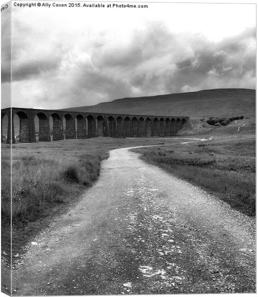  Viaduct Canvas Print by Ally Coxon