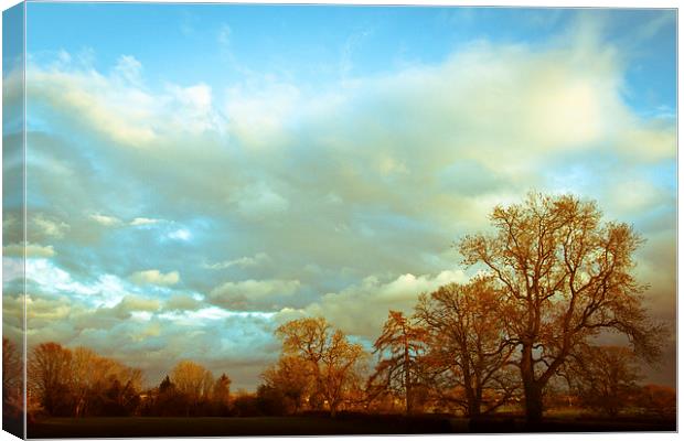  An Autumn's day in Oswestry Canvas Print by Julian Bound