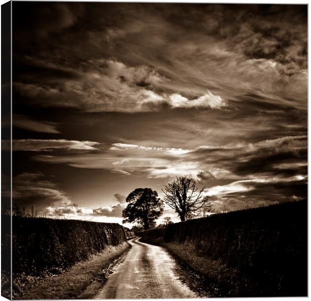  Lane of Shropshire in Autumn Canvas Print by Julian Bound