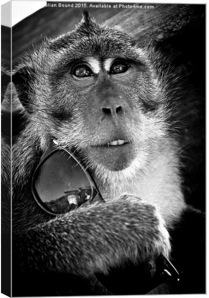   Monkey of Bali Canvas Print by Julian Bound