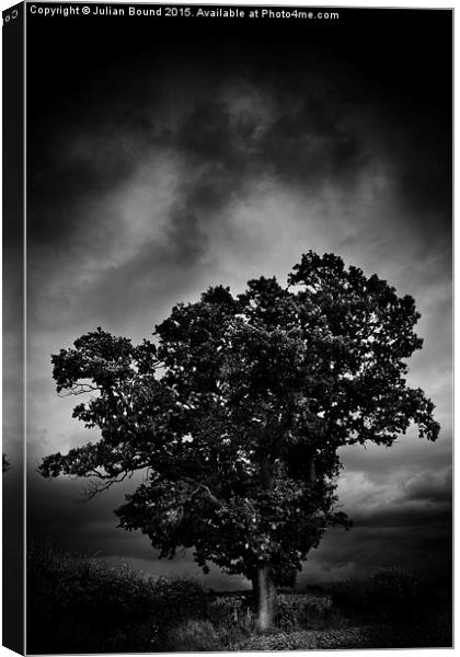    An Autumn tree with stormy skies Canvas Print by Julian Bound
