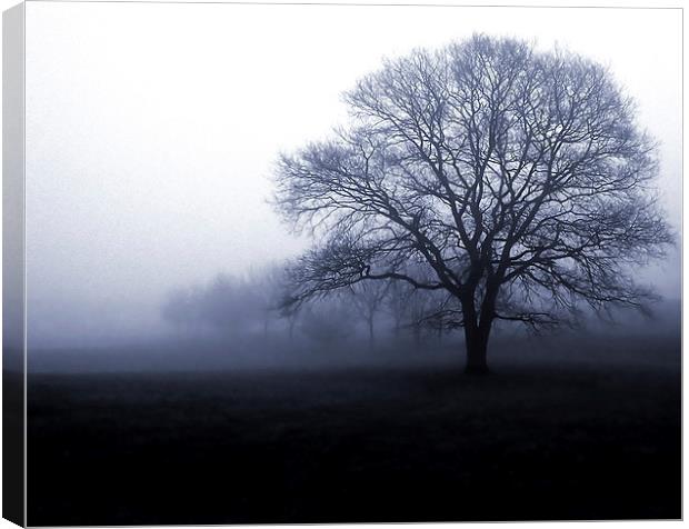  Mourning Tree Canvas Print by Steve Smith