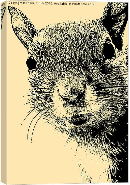 Squirrel Lithograph Canvas Print by Steve Smith