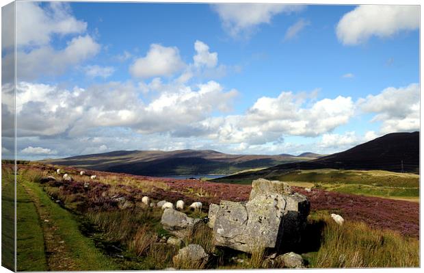  The Arenig Valley And Llyn Celyn Canvas Print by Harvey Hudson