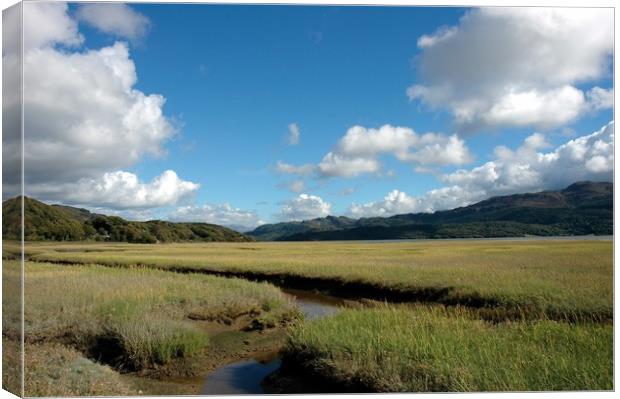 The Mawddach Estuary Canvas Print by Harvey Hudson