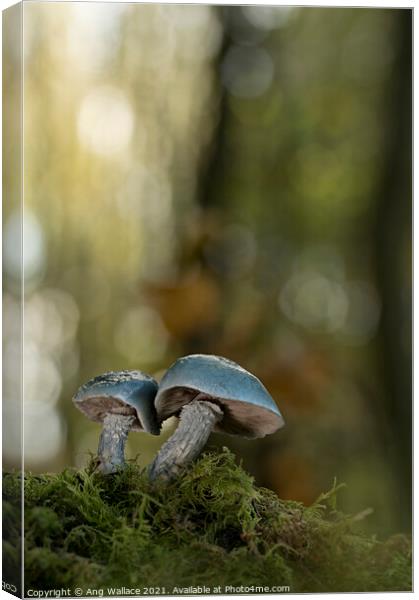 Blue roundhead mushrooms Canvas Print by Ang Wallace