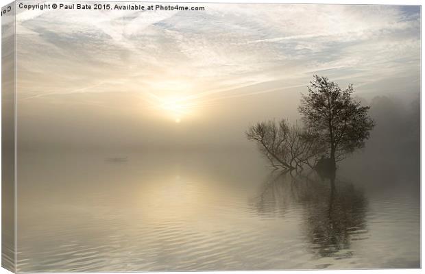  A Winters Morning Canvas Print by Paul Bate