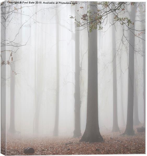  Misty Woodland Canvas Print by Paul Bate