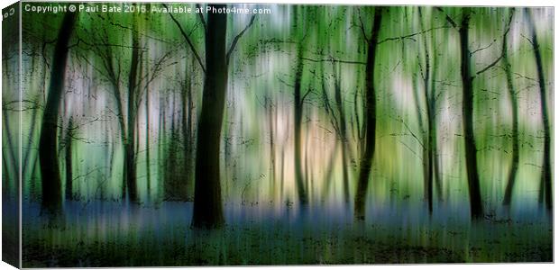  Enchanted  Canvas Print by Paul Bate