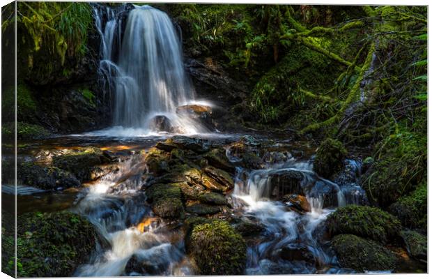 The Secret Waterfall Canvas Print by Rich Fotografi 