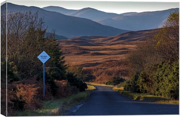 Single Track Road, Isle of Mull Canvas Print by Rich Fotografi 