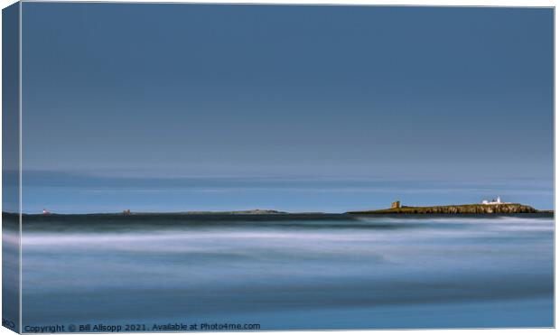 The Farne Islands Canvas Print by Bill Allsopp