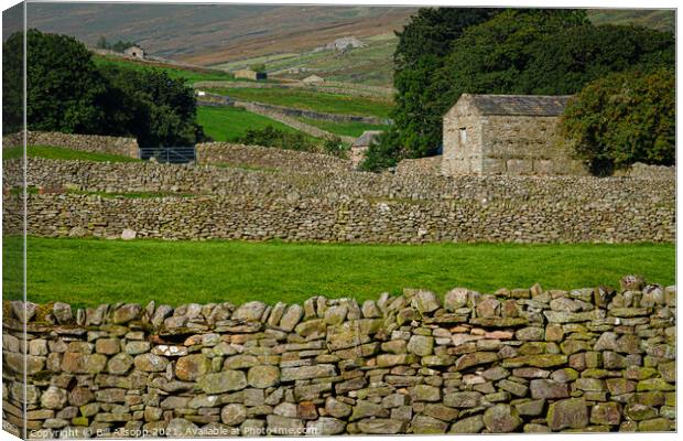 Stone walls. Canvas Print by Bill Allsopp