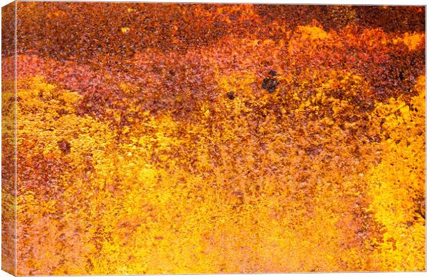 Rust patterns. Canvas Print by Bill Allsopp