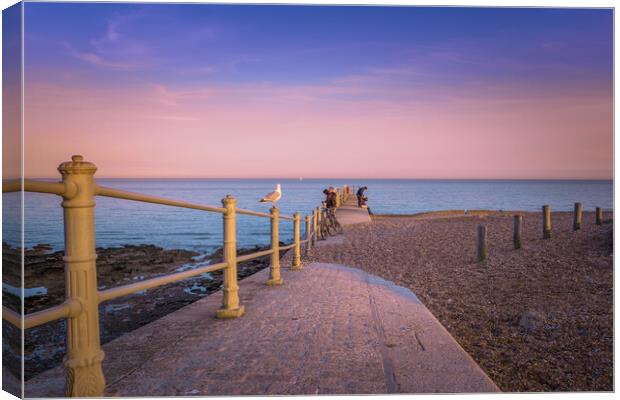 Enjoying the sunset in Hastings. Canvas Print by Bill Allsopp