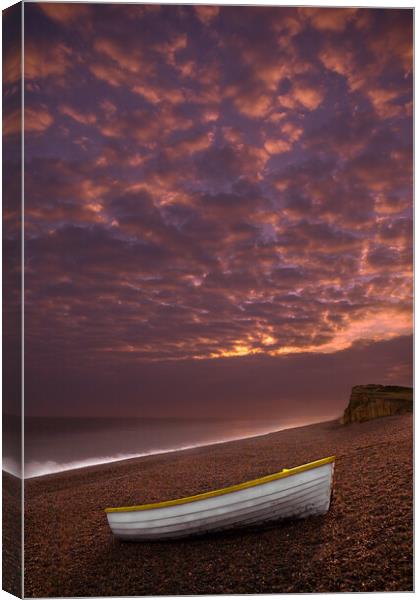 Alone on the beach Canvas Print by Bill Allsopp