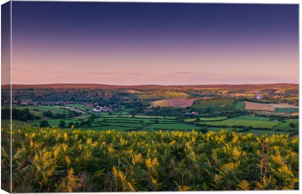 View of Rosedale in Yorkshire Canvas Print by Bill Allsopp
