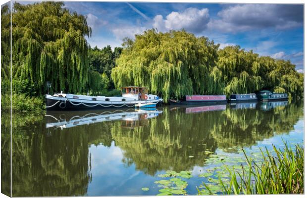 Under the willows. Canvas Print by Bill Allsopp