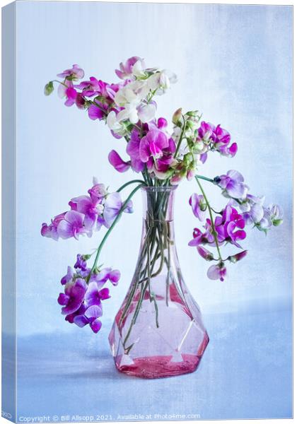 Sweet Pea Pastel. Canvas Print by Bill Allsopp