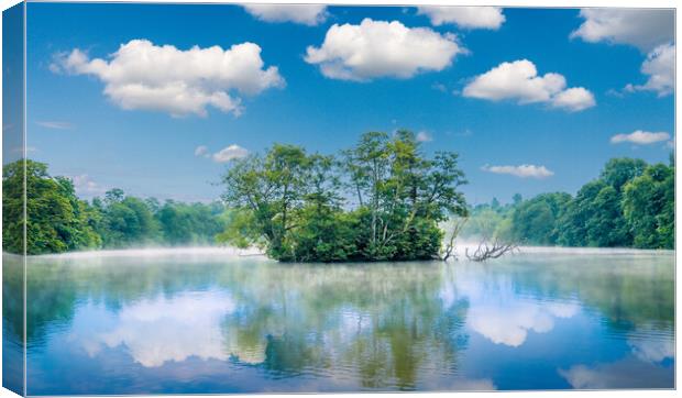 The old heronry. Canvas Print by Bill Allsopp