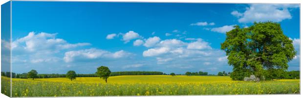 Yellow and green. Canvas Print by Bill Allsopp