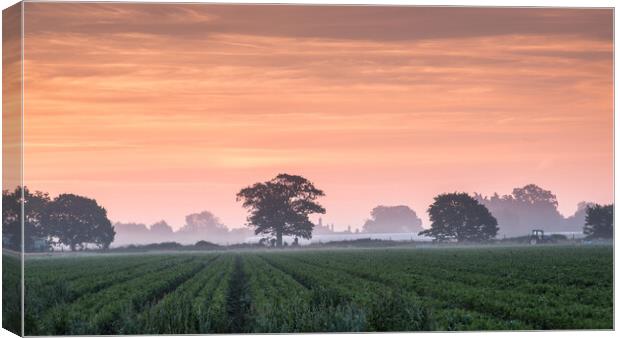 Misty Suffolk Sunrise. Canvas Print by Bill Allsopp