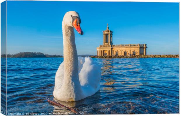 Swan at Normanton. Canvas Print by Bill Allsopp