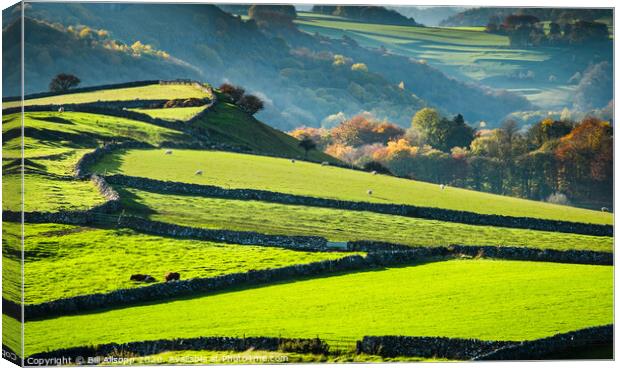 Small fields and stone walls. Canvas Print by Bill Allsopp