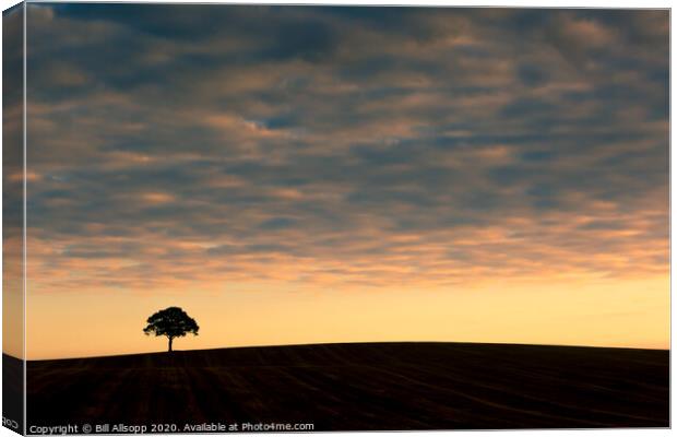 Lone tree at sunrise. Canvas Print by Bill Allsopp
