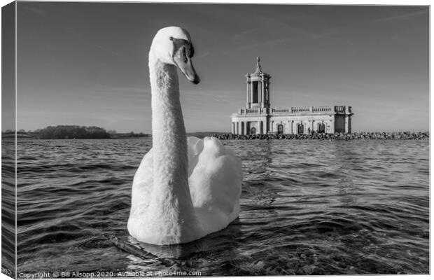 Coming for a treat. Canvas Print by Bill Allsopp