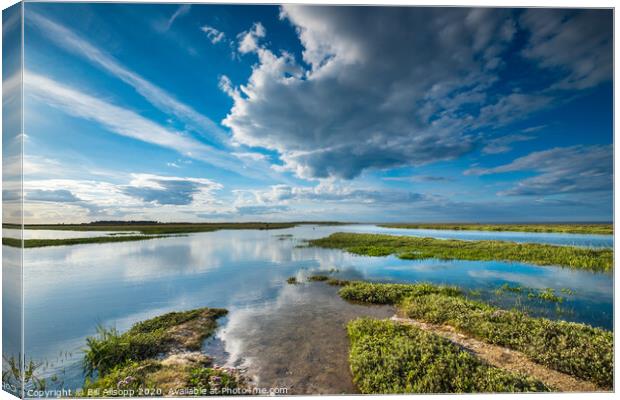 High tide on the marshes #2. Canvas Print by Bill Allsopp