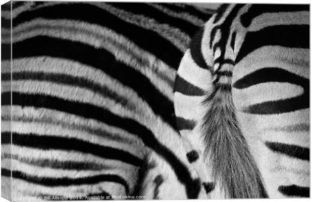 Stripes. Canvas Print by Bill Allsopp