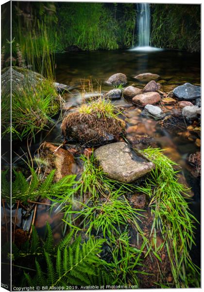 Gently flowing. Canvas Print by Bill Allsopp