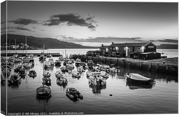 Lyme Regis harbour. Canvas Print by Bill Allsopp