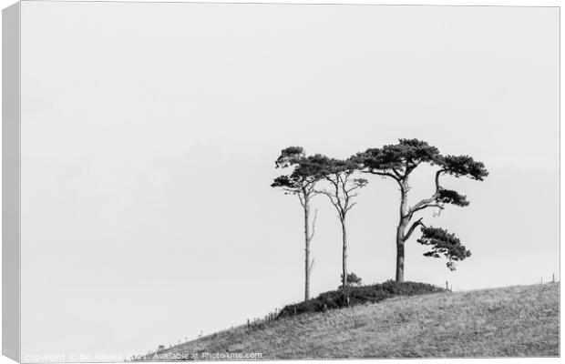 Three on a hill. Canvas Print by Bill Allsopp