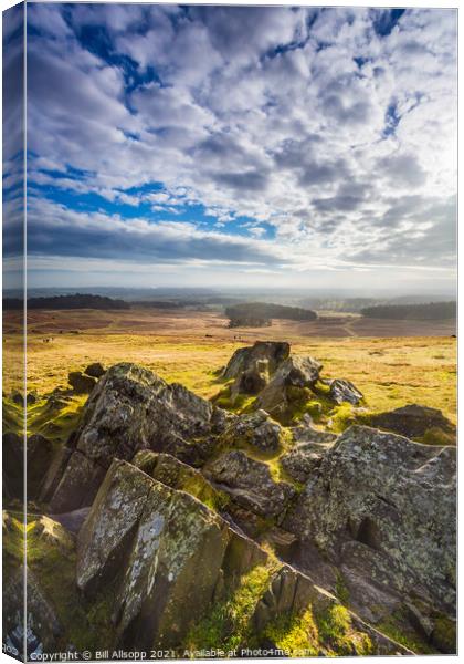 View from the top. Canvas Print by Bill Allsopp