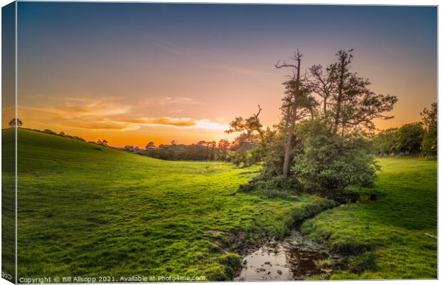 Black Brook Shepshed Canvas Print by Bill Allsopp