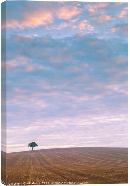 Lone tree at sunrise. Canvas Print by Bill Allsopp