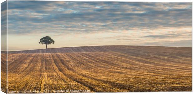 Lone tree at sunrise. Canvas Print by Bill Allsopp