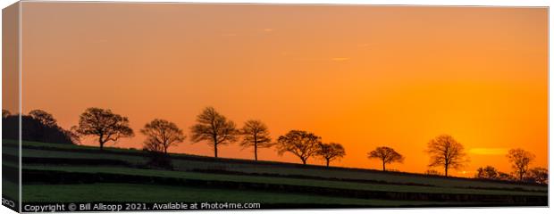 Sunrise in Charnwood Forest. Canvas Print by Bill Allsopp