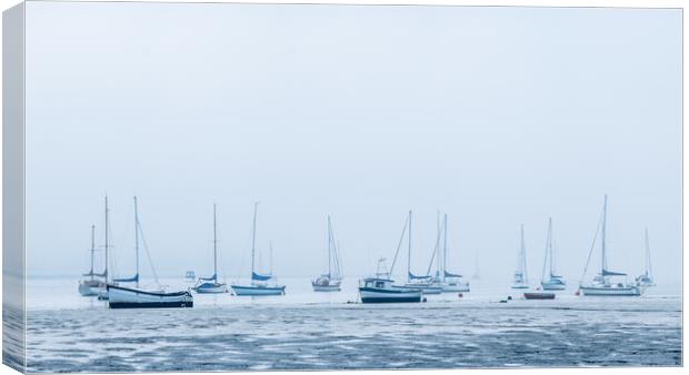 Misty moorings #2 Canvas Print by Bill Allsopp