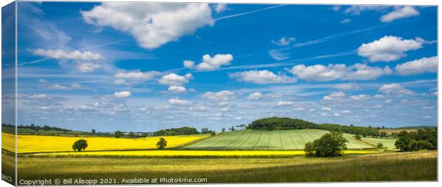 Leicestershire panorama. Canvas Print by Bill Allsopp
