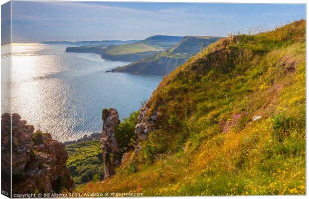 The Jurassic coast. Canvas Print by Bill Allsopp