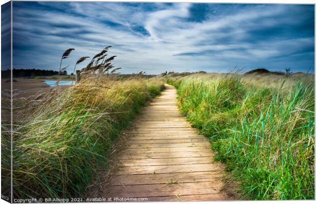 The walker Canvas Print by Bill Allsopp