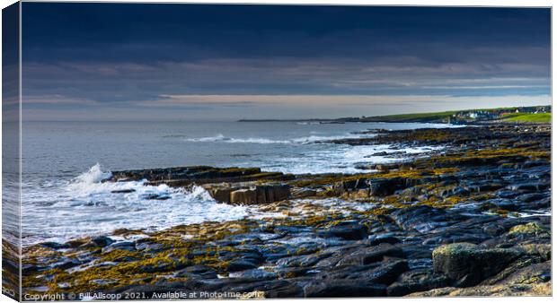 The rocky Northumberland coast. Canvas Print by Bill Allsopp